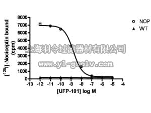 merck millipore,默克密理博,HTS040M,ChemiSCREEN™ Membrane Preparation Recombinant Human NOP Opioid Receptor