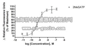 merck millipore,默克密理博,HTS049RTA,Ready-to-Assay™ P2Y1 Purinergic Receptor Frozen Cells