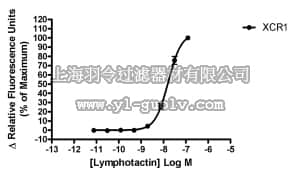 merck millipore,默克密理博,HTS053RTA,Ready-to-Assay™ XCR1 Chemokine Family Receptor Frozen Cells