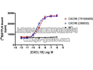 merck millipore,默克密理博,HTS054M,ChemiScreen™ CXCR6 Membrane Preparation