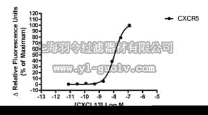 merck millipore,默克密理博,HTS055RTA,Ready-to-Assay™ CXCR5 Chemokine Family Receptor Frozen Cells