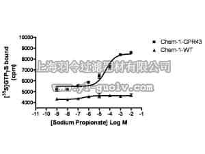 merck millipore,默克密理博,HTS063M,ChemiSCREEN™ Membrane Preparation Recombinant Human GPR43 Free Fatty Acid Receptor