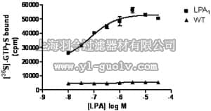merck millipore,默克密理博,HTS089M,ChemiSCREEN™ Membrane Preparation Recombinant Human LPA1 Lysophospholipid Receptor