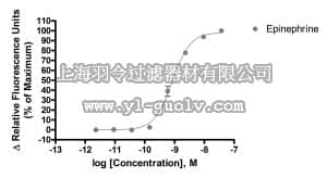 merck millipore,默克密理博,HTS096RTA,Ready-to-Assay™ α2A Adrenergic Family Receptor Frozen Cells