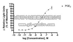 merck millipore,默克密理博,HTS099LT,ChemiBrite™ EP1 Prostanoid Family Receptor Frozen Cells