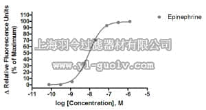 merck millipore,默克密理博,HTS104RTA,Ready-to-Assay™ β1 Adrenergic Receptor Frozen Cells