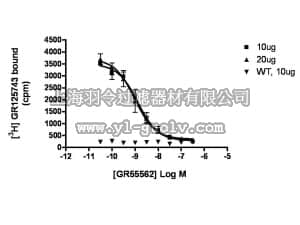 merck millipore,默克密理博,HTS108M,ChemiSCREEN™ Membrane Preparation Recombinant Human 5-HT1B Serotonin Receptor
