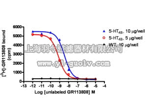 merck millipore,默克密理博,HTS110M,ChemiSCREEN™ Membrane Preparation Recombinant Human 5-HT4B Serotonin Receptor