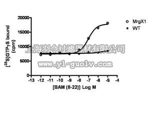 merck millipore,默克密理博,HTS122M,ChemiSCREEN™ Membrane Preparation Recombinant Human MrgX1 Receptor