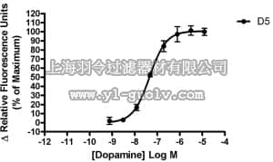 merck millipore,默克密理博,HTS129RTA,Ready-to-Assay™ D5 Dopamine Receptor Frozen Cells