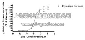 merck millipore,默克密理博,HTS133RTA,Ready-to-Assay™ TSH Glycoprotein Hormone Receptor Frozen Cells