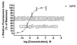 merck millipore,默克密理博,HTS134RTA,Ready-to-Assay™ GIP Glucagon Receptor Frozen Cells