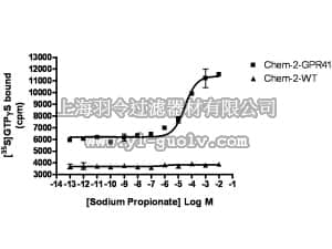 merck millipore,默克密理博,HTS135M,ChemiSCREEN™ Membrane Preparation Recombinant Human GPR41 Free Fatty Acid Receptor