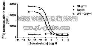 merck millipore,默克密理博,HTS139M,ChemiSCREEN™ Membrane Preparation Recombinant Human sst5 Somatostatin Receptor