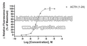 merck millipore,默克密理博,HTS155RTA,Ready-to-Assay™ MC5 Melanocortin Receptor Frozen Cells