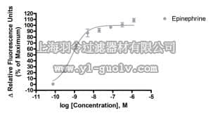 merck millipore,默克密理博,HTS158RTA,Ready-to-Assay™ α1B Adrenergic Family Receptor Frozen Cells