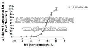 merck millipore,默克密理博,HTS159RTA,Ready-to-Assay™ β3 Adrenergic Receptor Frozen Cells