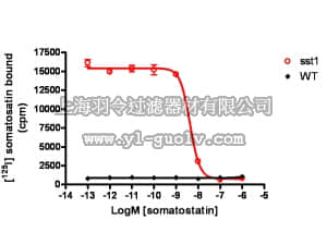 merck millipore,默克密理博,HTS170M,ChemiSCREEN™ Membrane Preparation Recombinant Human sst1 Somatostatin Receptor