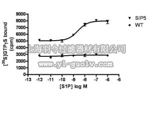 merck millipore,默克密理博,HTS193M,ChemiSCREEN™ Membrane Preparation Recombinant Human S1P5 Lysophospholipid  Receptor