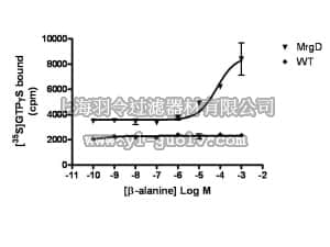 merck millipore,默克密理博,HTS206M,ChemiSCREEN™ Membrane Preparation Recombinant Human MrgD Mas-Related Gene Family Receptor