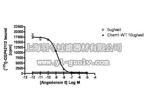 merck millipore,默克密理博,HTS208M,ChemiSCREEN™ Membrane Preparation Recombinant Human AT2 Angiotensin II Receptor