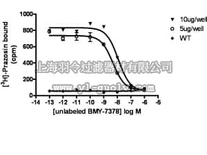 merck millipore,默克密理博,HTS216M,ChemiSCREEN™ Membrane Preparation Recombinant Human α1D Adrenergic Receptor with N-terminal truncation