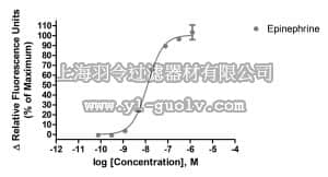 merck millipore,默克密理博,HTS216RTA,Ready-to-Assay™ α1D Adrenergic Family Receptor Frozen Cells