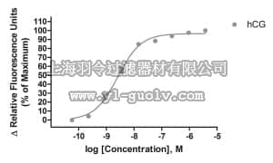 merck millipore,默克密理博,HTS233LRTA,Ready-to-Assay™ LH Glycoprotein Hormone Receptor Frozen Cells