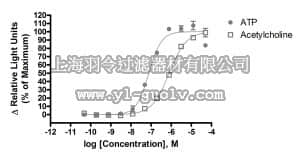 merck millipore,默克密理博,HTSHEKT-3LT,ChemiBrite™ HEKT Parental Control 3 Frozen Cells