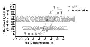 merck millipore,默克密理博,HTSHEKT-4LT,ChemiBrite™ HEKT Parental Control 4 Frozen Cells