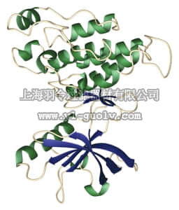 merck millipore,默克密理博,33-126,PIP5-Kinase HTRF Assay