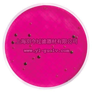 merck millipore,默克密理博,MHA000P2E,m-Endo 总大肠菌群培养基