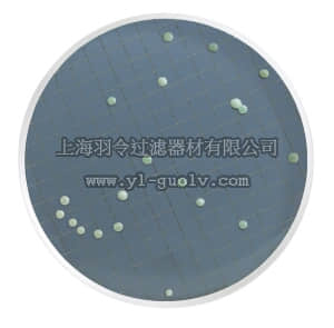 merck millipore,默克密理博,MHA000P2N,沃勒斯坦营养培养基 (WLN)