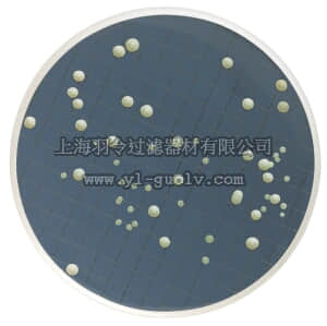 merck millipore,默克密理博,MB000000Y,m-Green 酵母菌和霉菌培养基（脱水）