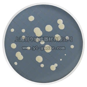 merck millipore,默克密理博,MXSMCYM48,装有酵母菌和霉菌琼脂的 Milliflex 培养皿