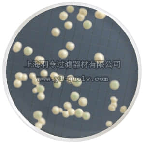 merck millipore,默克密理博,MHA00P2SM,酵母菌和霉菌选择性培养基