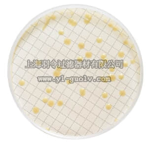 merck millipore,默克密理博,MXSMTLP48,含聚 80 和卵磷酯的胰蛋白酶大豆琼脂的 Milliflex 培养皿
