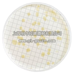 merck millipore,默克密理博,MXSMHPC48,装有异养平皿计数琼脂的 Milliflex 培养皿