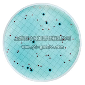merck millipore,默克密理博,M00PMCB24,m-ColiBlue24 培养基
