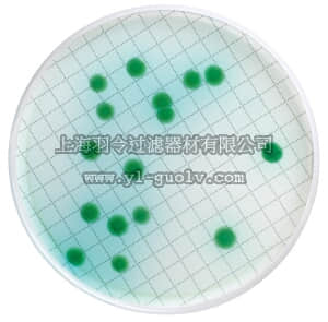 merck millipore,默克密理博,MXSMCET48,装有溴棕三甲铵琼脂的 Milliflex 培养皿