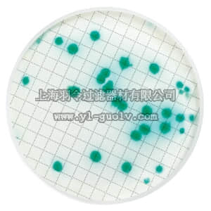 merck millipore,默克密理博,MXSMPIA48,装有假单胞菌分离琼脂的 Milliflex 培养皿