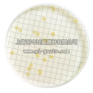 merck millipore,默克密理博,MB000000T,胰蛋白胨葡萄糖培养基（脱水）