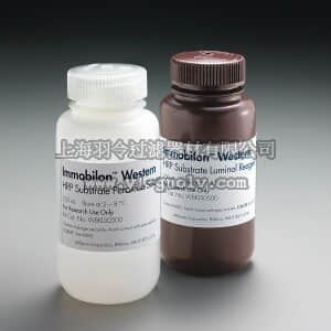 merck millipore,默克密理博,WBKLS0500,Immobilon Western HRP 底物，2 x 250 mL