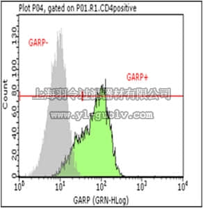 merck millipore,默克密理博,MAB109,Anti-GARP (LRRC32) Antibody, clone 7B11