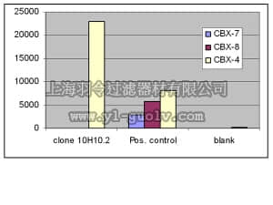 merck millipore,默克密理博,MAB11012,Anti-CBX-4 Antibody, clone 10H10.2