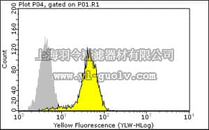 merck millipore,默克密理博,MAB1138,Anti-Insulin Receptor αAntibody, α subunit, clone 83-7