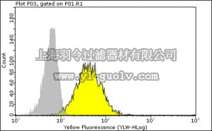 merck millipore,默克密理博,MAB1288,Anti-HLA-B7 Antibody, clone BB7.1, PE Conjugate