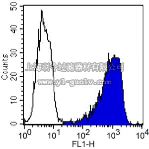 merck millipore,默克密理博,MAB1406,Anti-Thy-1.1 Antibody, clone OX-7