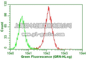 merck millipore,默克密理博,MAB1961Z,Anti-Integrin αVβ5 Antibody, clone P1F6, azide free