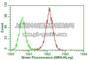 merck millipore,默克密理博,MAB1961,Anti-Integrin αVβ5 Antibody, clone P1F6